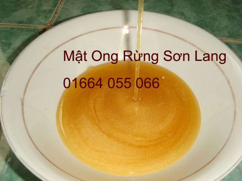 mat-ong-rung-song-lang-2_zpsacfa3daf.jpg