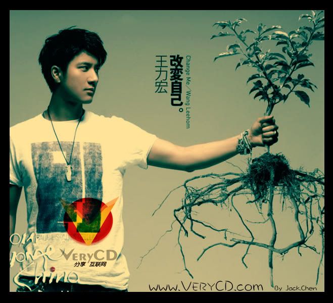 wang lee hom