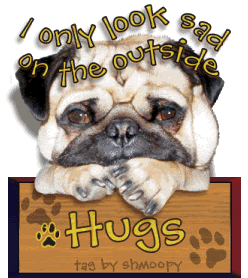 pug love Pictures, Images and Photos