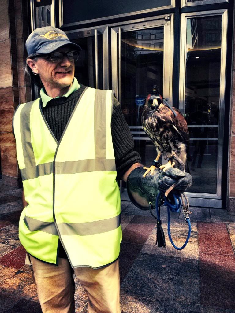lemmy, hawk