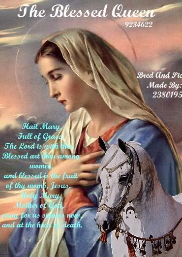 the blessed mother Pictures, Images and Photos