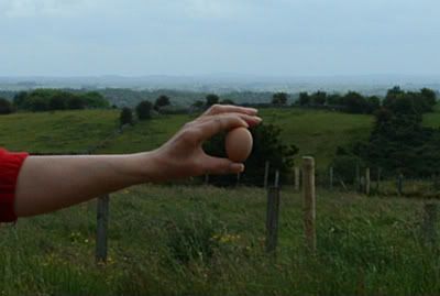 FirstEgg001.jpg