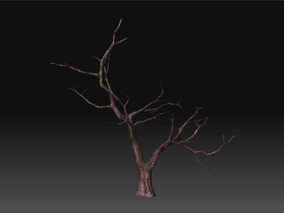 Tree_01.jpg