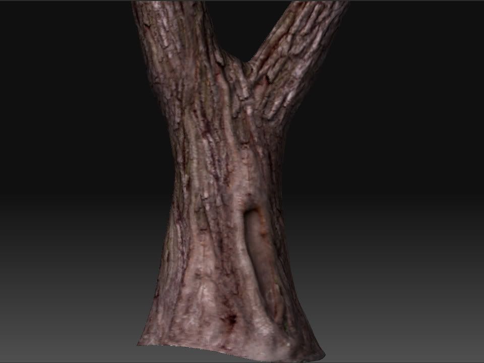 Tree_03.jpg