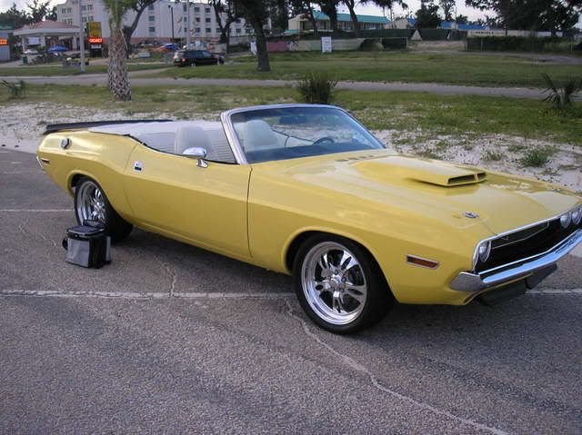 PA050146.jpg