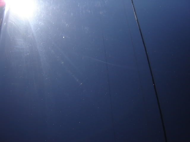 DSC01464.jpg