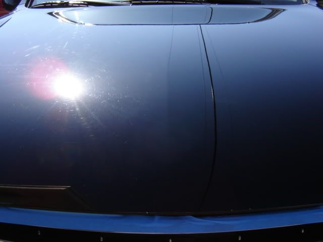 DSC01468.jpg