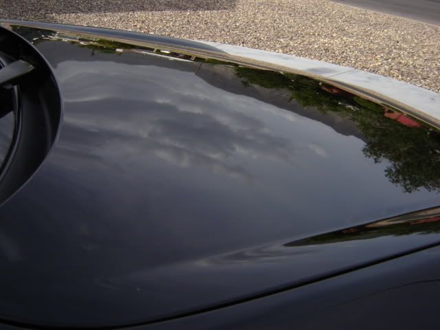 DSC01471.jpg
