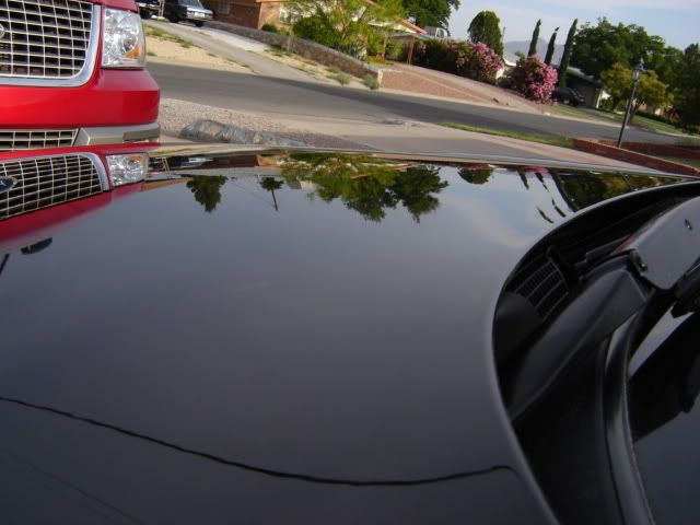 DSC01472.jpg