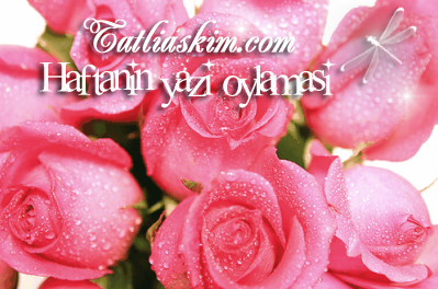 135. Haftanın Yazısı (SIR) 135. Haftanın Yazısı (SIR)