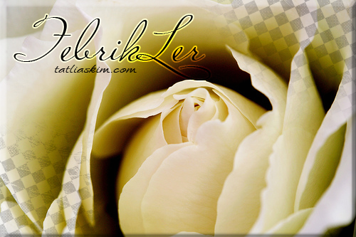 139. Haftanın Üyesi < E-s-R-a > 139. Haftanın Üyesi < E-s-R-a >