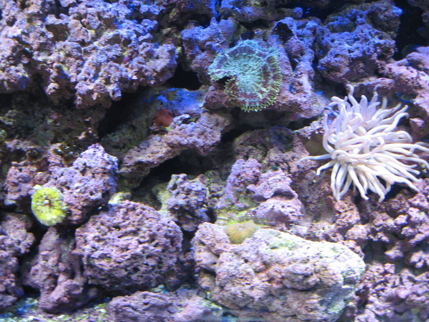 Aquarium_Middle_07MAY2012.jpg