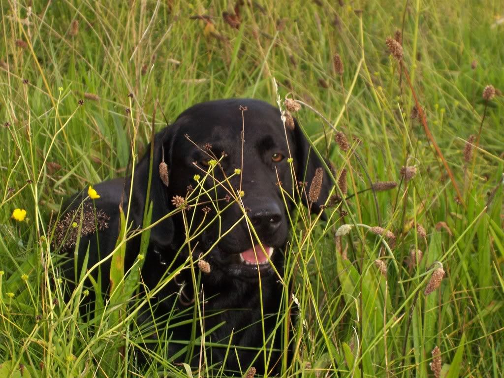 Prudhoe020808141.jpg