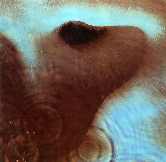 Pink Floyd - Meddle Pictures, Images and Photos