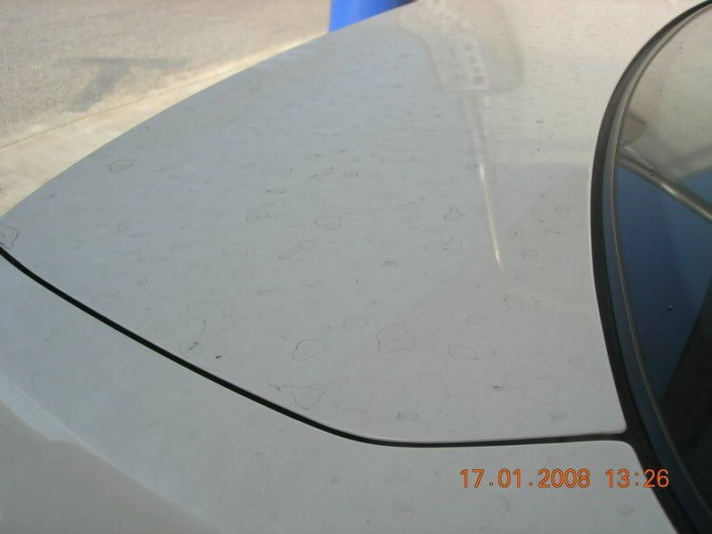 Lexus002.jpg