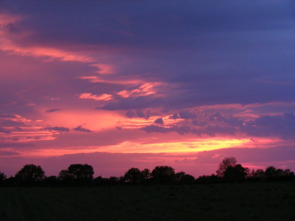 2008_0525Firstshots0029.jpg