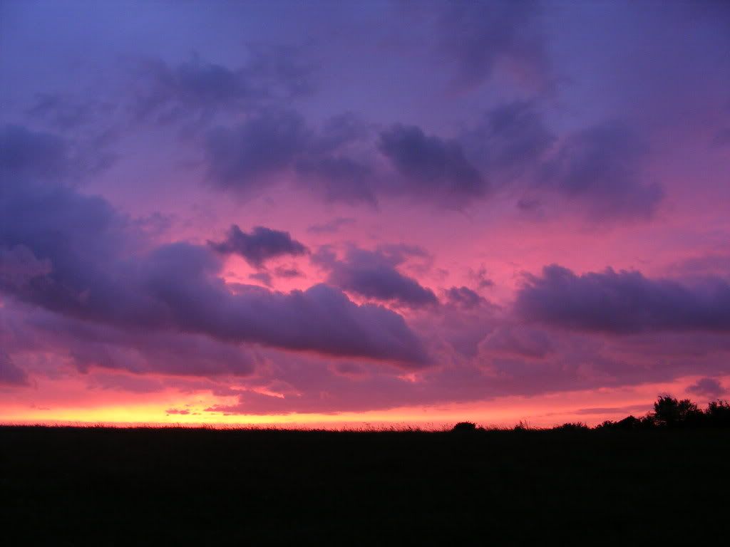 2008_0526Firstshots0258.jpg