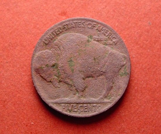Buffalo-Rev_zps0cf6f800.jpg