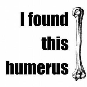humerus.jpg