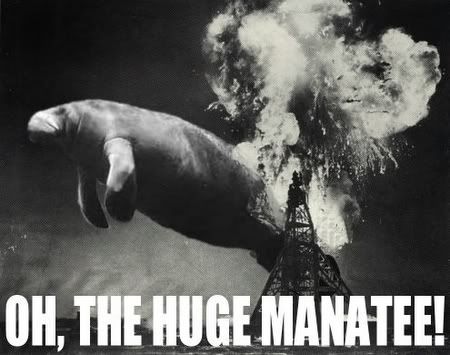 oh-the-huge-manatee.jpg