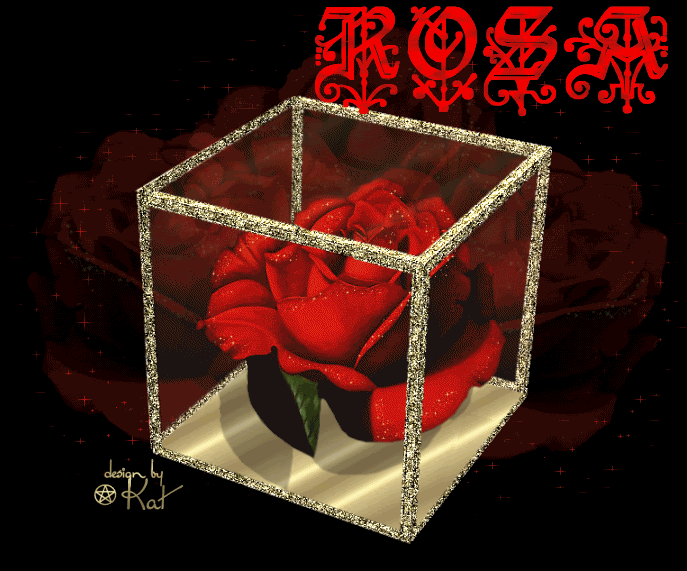 00000000POPO12-1.gif picture by ROSA_SALVAJE