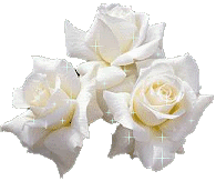 1ROSE03.gif picture by ROSA_SALVAJE