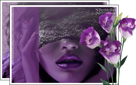 8-1.gif picture by ROSA_SALVAJE