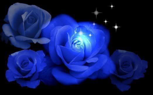 blue_roses1.jpg picture by ROSA_SALVAJE