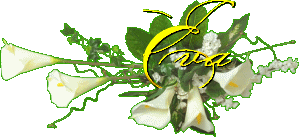 e04.gif picture by ROSA_SALVAJE