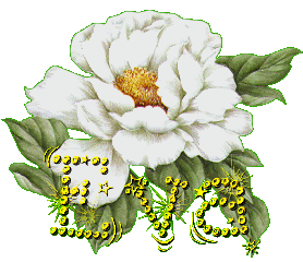 e05.gif picture by ROSA_SALVAJE