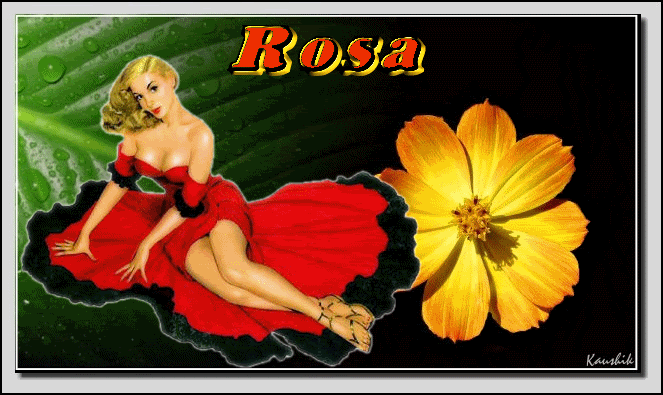 r1-1.gif picture by ROSA_SALVAJE