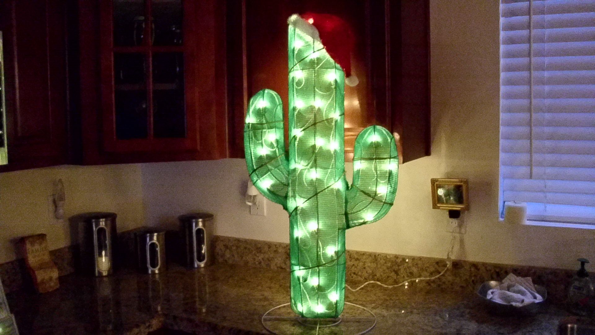 cactus001_zps8b7e3bb2.jpg