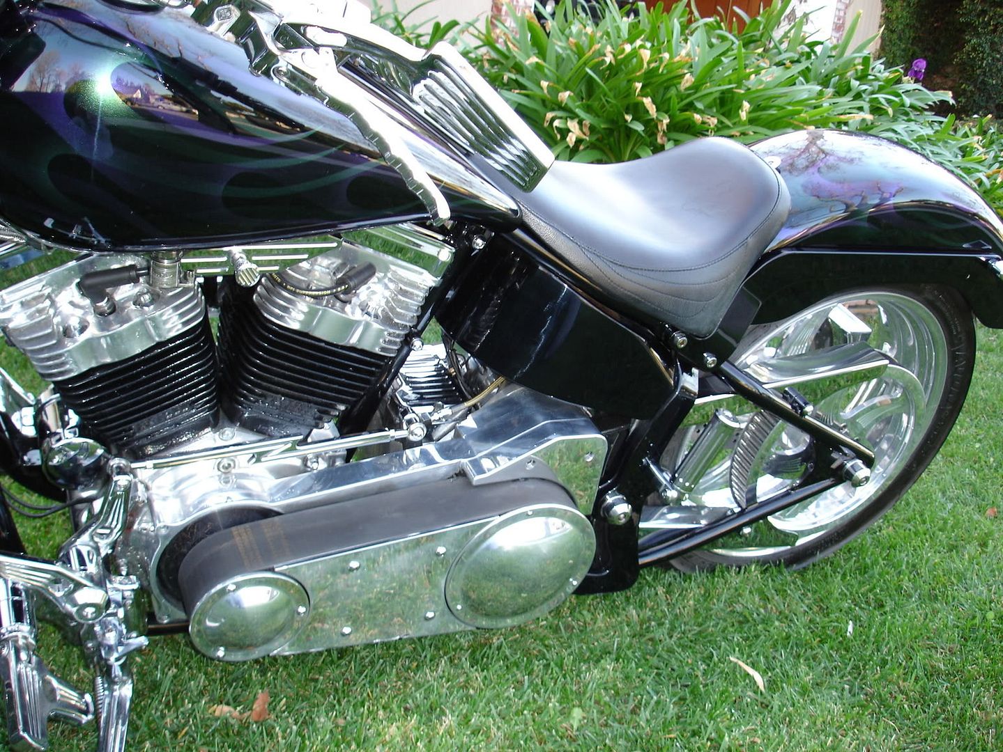 Open primary harley softail hotsell