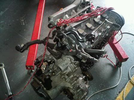 IMG00252-20120423-1424.jpg