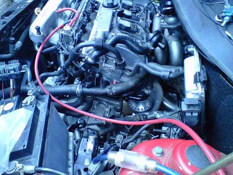 IMG00826-20120512-1236.jpg
