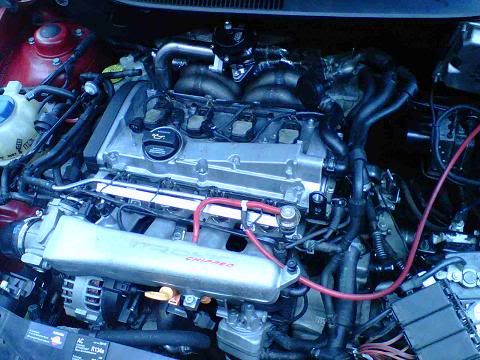 IMG00831-20120512-1317.jpg