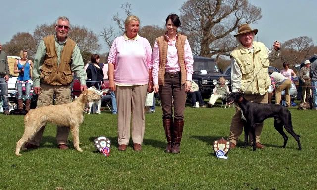 LurcherPupChRes-1-1.jpg