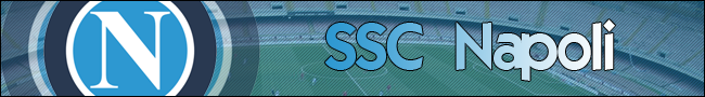 napolibanner.png