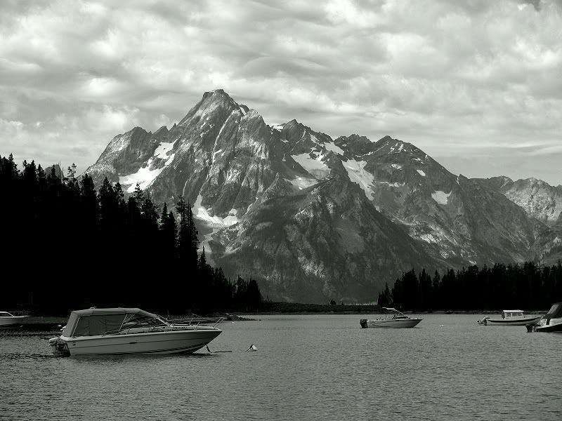 IMAGE: http://i209.photobucket.com/albums/bb232/Oakman61/IMG_5687.jpg