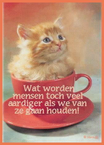 aardige_mensen.jpg picture by dietje-bucket