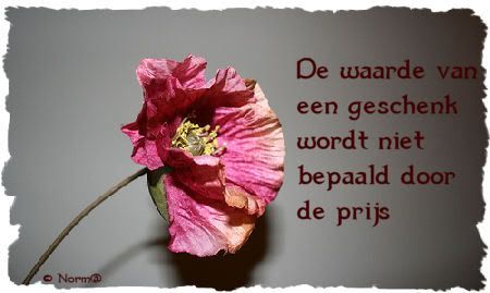 waarde.jpg picture by dietje-bucket
