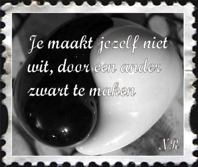 witzwart.jpg je maakt jezelf niet wit door anderen zwart te maken image by dietje-bucket