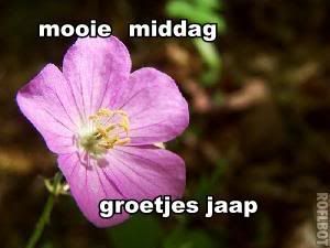 2222.jpg
