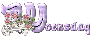 6.gif