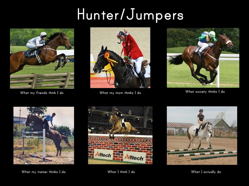 Hunter_Jumper.jpg