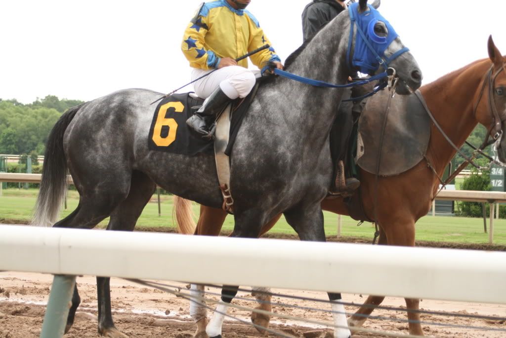 IMAGE(http://i209.photobucket.com/albums/bb252/KountryGirlKreationz/Horses/LADowns/IMG_0264.jpg)