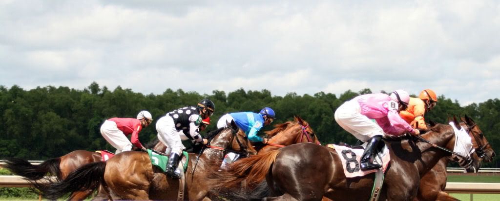 IMAGE(http://i209.photobucket.com/albums/bb252/KountryGirlKreationz/Horses/LADowns/IMG_0353.jpg)