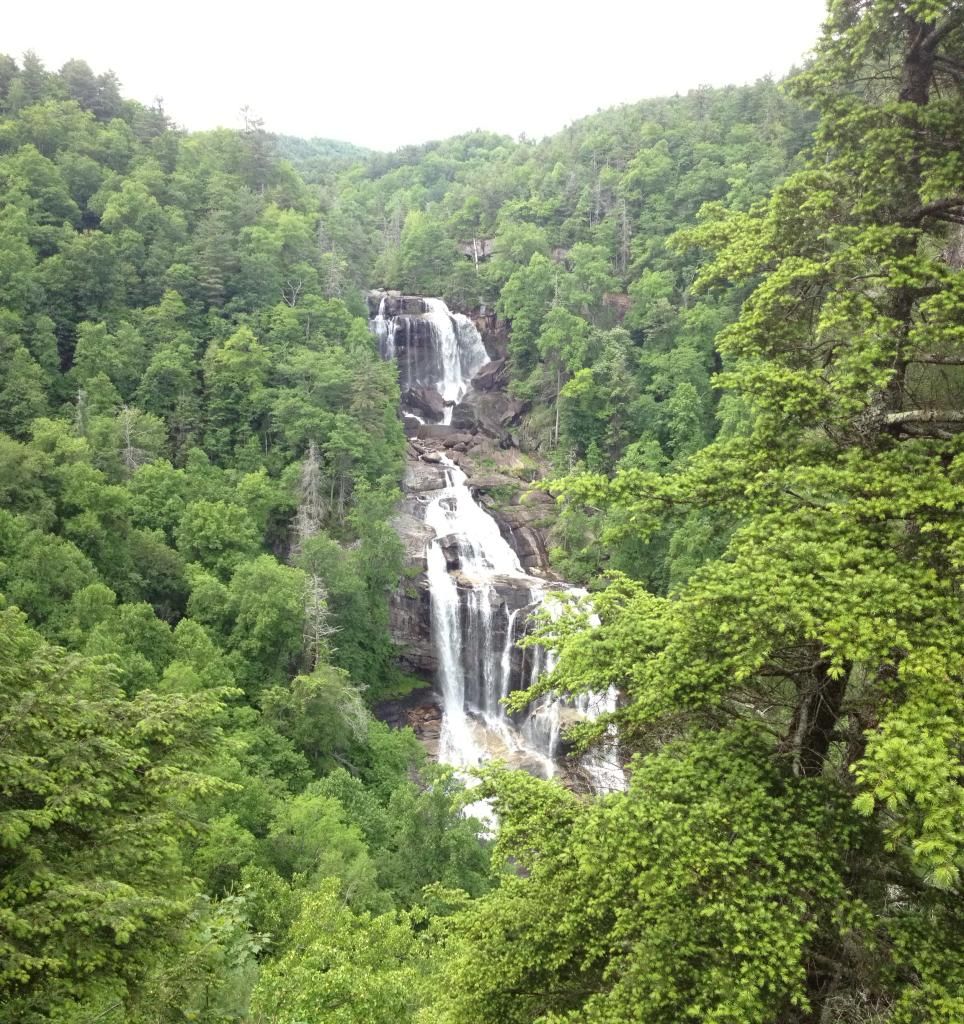 B0C90977-0073-4DC7-8CCB-4F7D083A0FFC.jpg