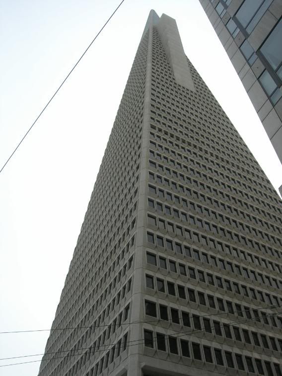 Immagine016.jpg
