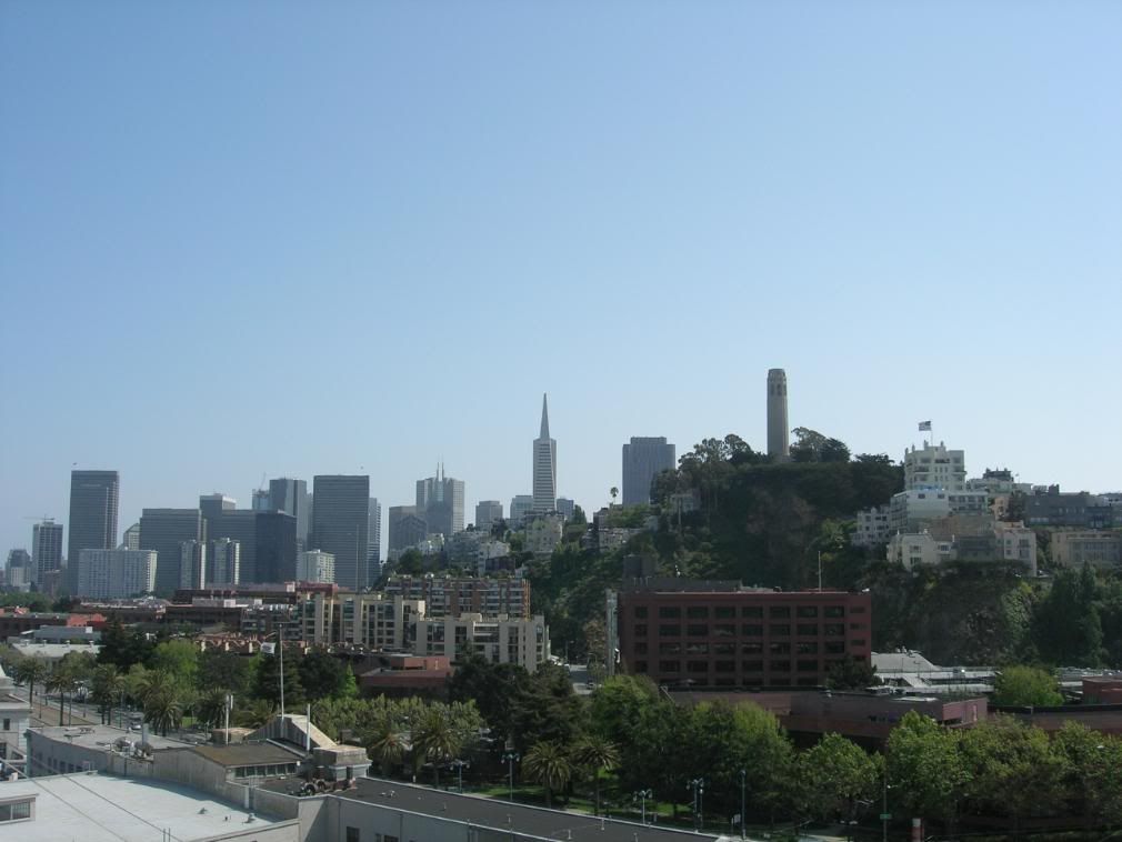 Immagine091.jpg